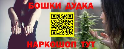 шишки Лесосибирск