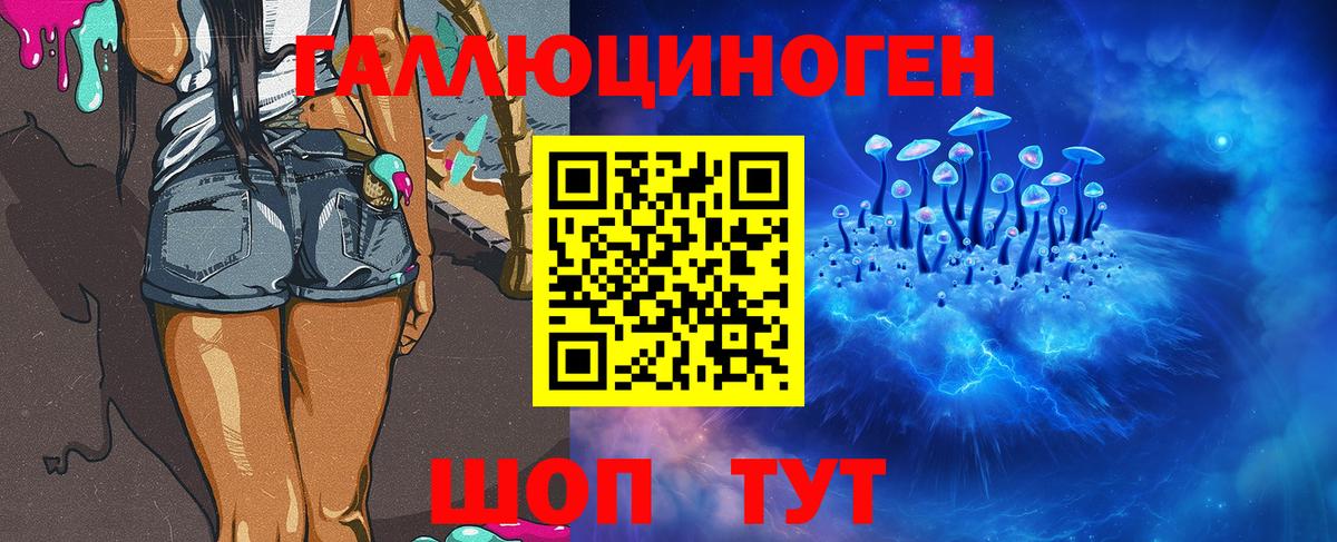 Псилоцибиновые грибы прущие грибы  Вход с VPN  как найти наркотики  Черняховск 
