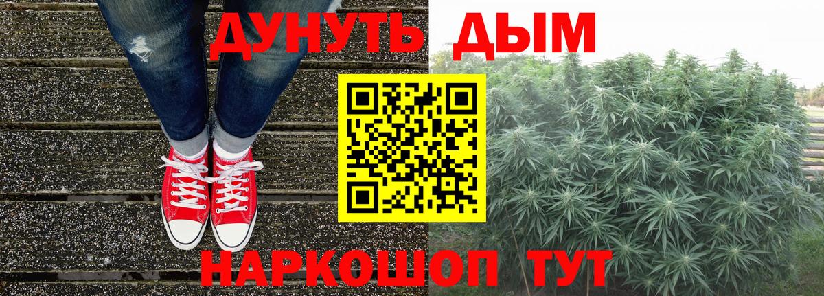 Бошки Шишки планчик Черняховск